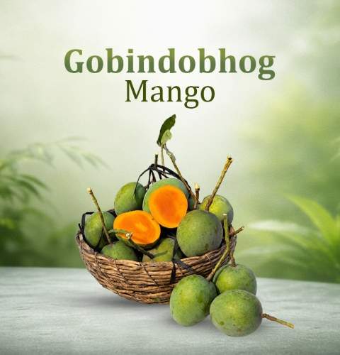Gobindobhog Mango