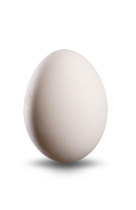 Chicken Eggs (Layer)  12 Pis