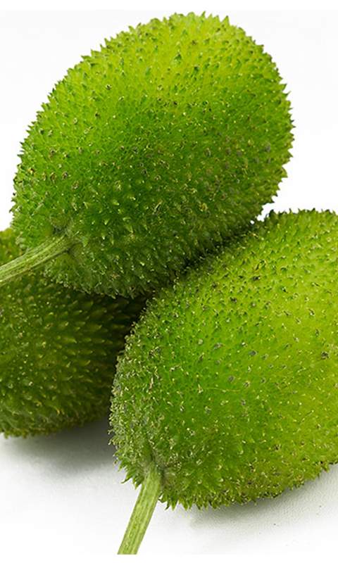 কাঁকরোল 1 Kg